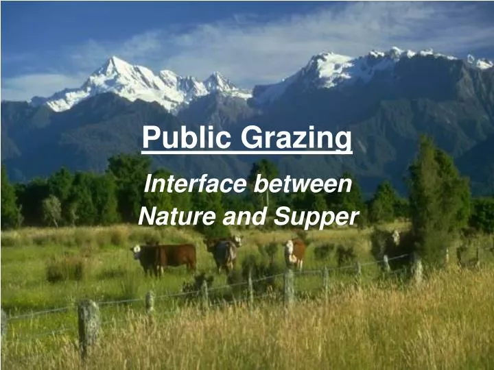 public grazing