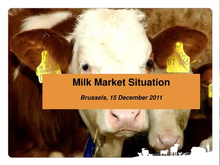 milk market situation brussels 15 december 2011