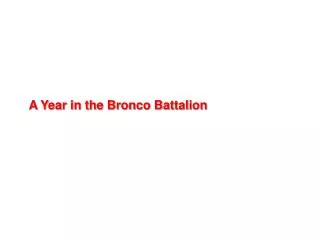 A Year in the Bronco Battalion