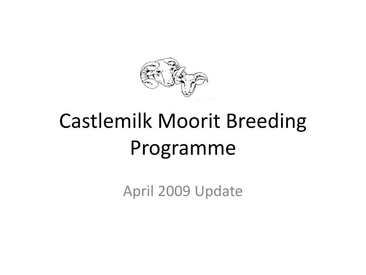 castlemilk moorit breeding programme