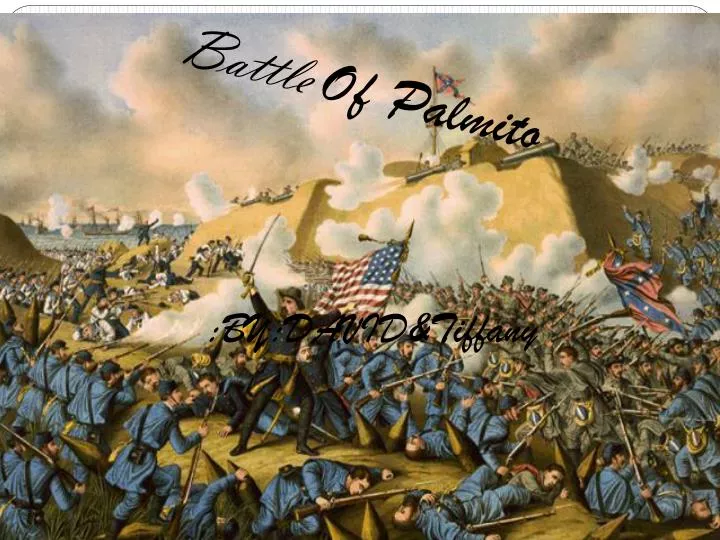 battle of palmito