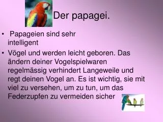 der papagei