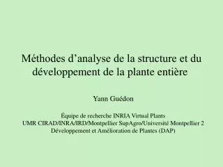 m thodes d analyse de la structure et du d veloppement de la plante enti re