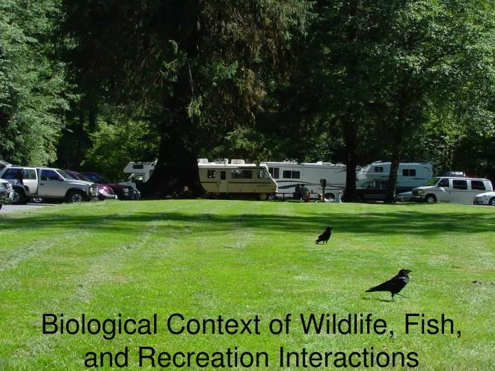 biological context of wildlife fish and recreation interactions