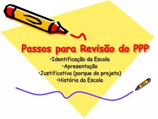 passos para revis o do ppp