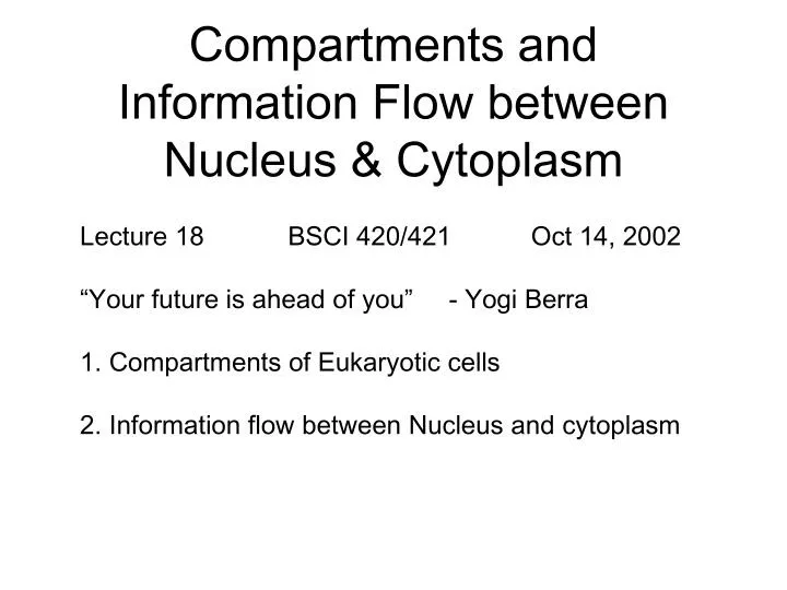 compartments and information flow between nucleus cytoplasm