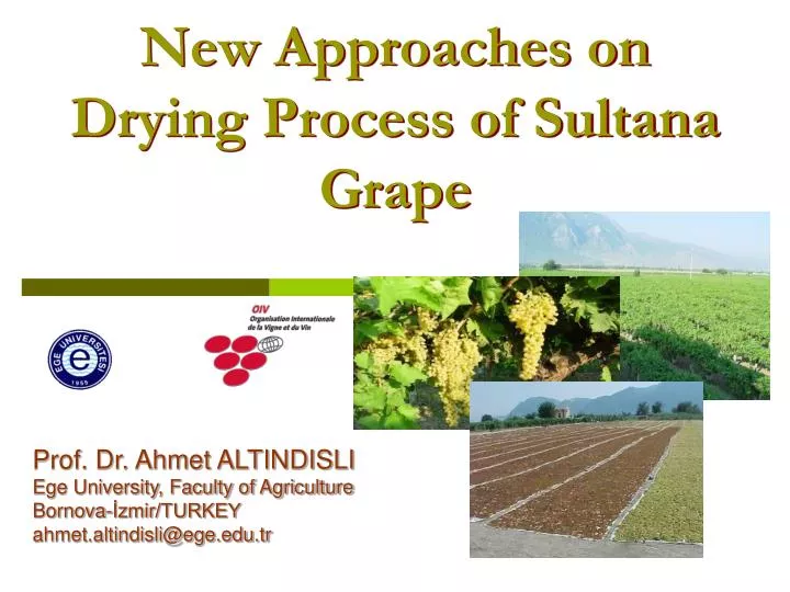 new approaches on drying process of sultana grape