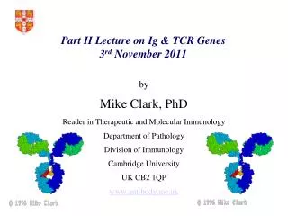 Part II Lecture on Ig &amp; TCR Genes 3 rd November 2011
