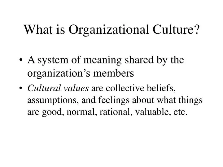what is organizational culture