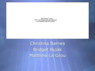 Christina Barnes Bridget Bujak Matthew La Grou