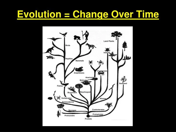evolution change over time