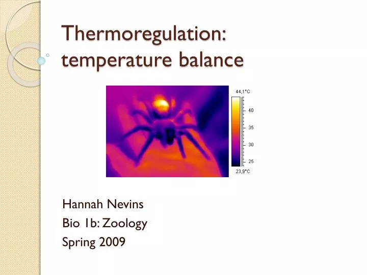 thermoregulation temperature balance