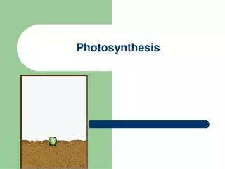 Photosynthesis