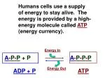 A - P - P - P - slide 1