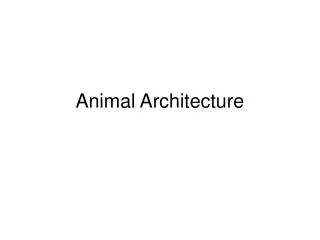 Animal Architecture