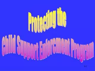 Protecting the Child Support Enforcment Program