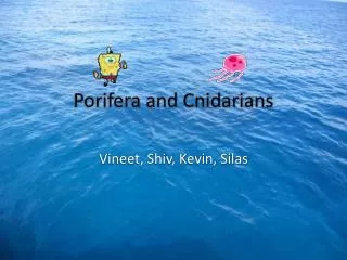 Porifera and Cnidarians