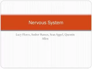 nervous system