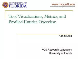 Tool Visualizations, Metrics, and Profiled Entities Overview