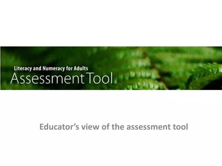 educator s view of the assessment tool