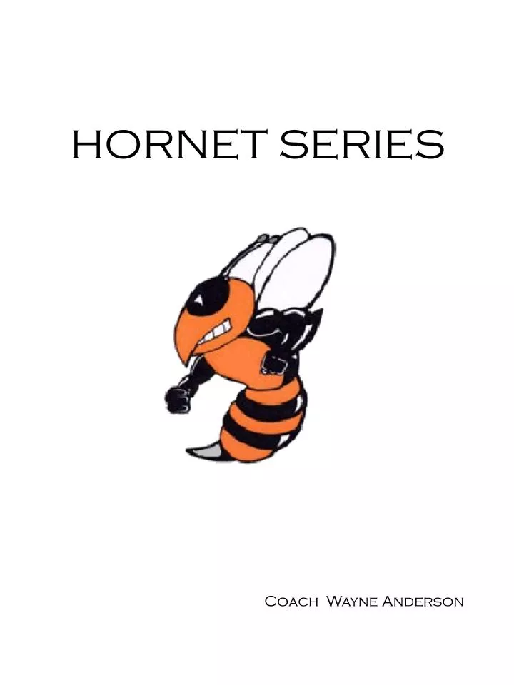 hornet series