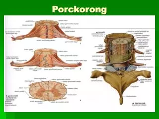 porckorong