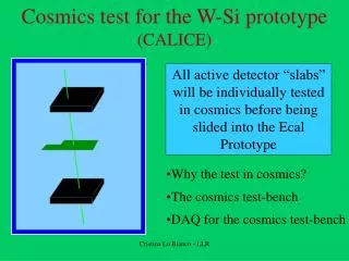 Cosmics test for the W-Si prototype (CALICE)