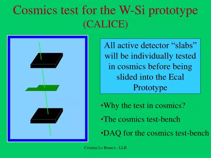 cosmics test for the w si prototype calice