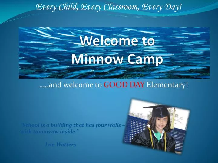 welcome to minnow camp