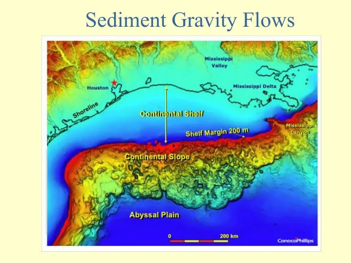 sediment gravity flows