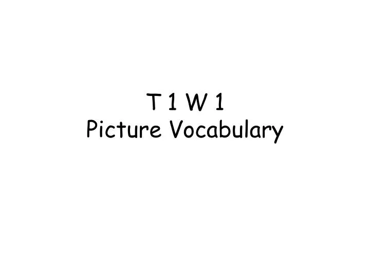 t 1 w 1 picture vocabulary
