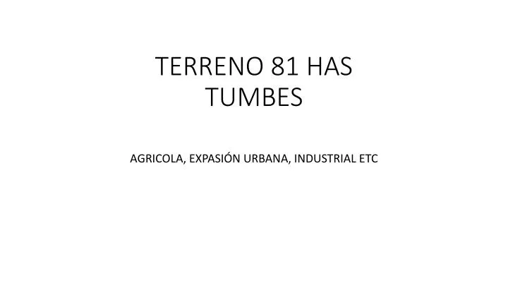 terreno 81 has tumbes