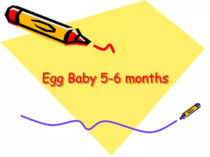 egg baby 5 6 months