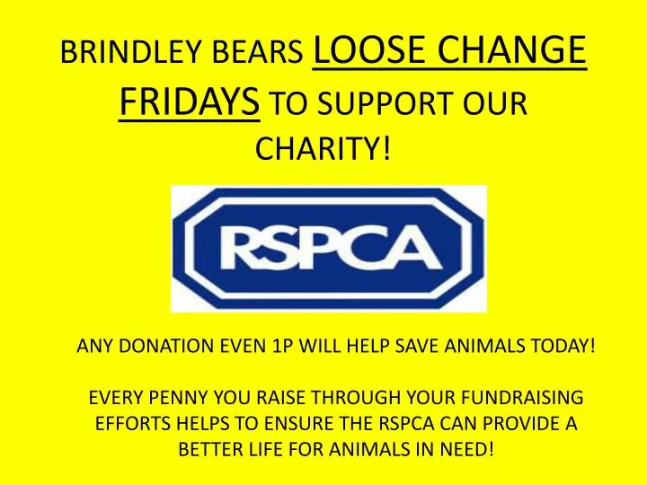 brindley bears loose change fridays to support our charity