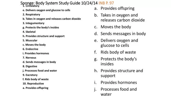 sponge body system study guide 10 24 14 inb p 97