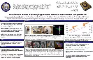 A non-invasive method of quantifying pancreatic volume in murine models using micro-MRI