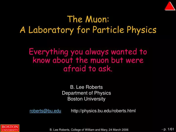 the muon a laboratory for particle physics