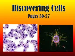 Discovering Cells Pages 50-57