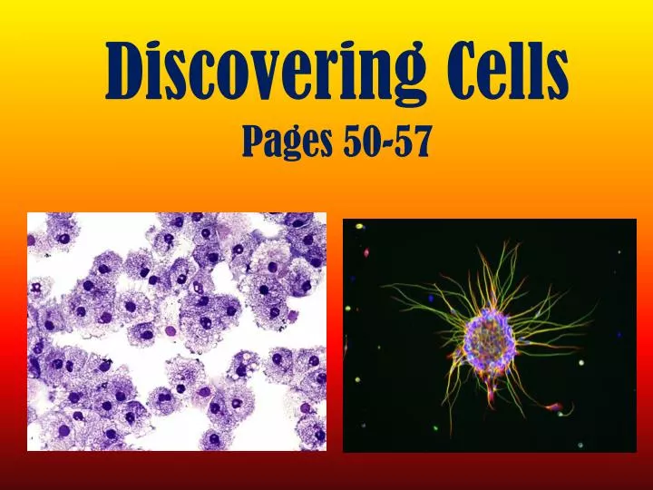 discovering cells pages 50 57