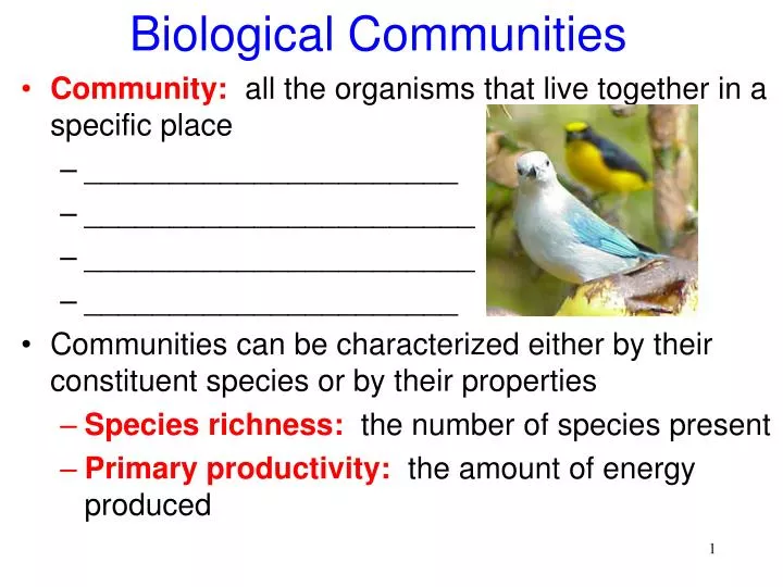 biological communities