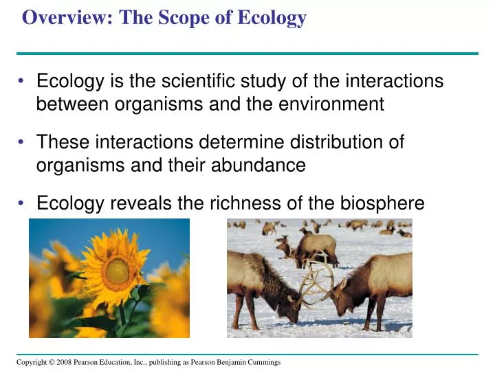 overview the scope of ecology