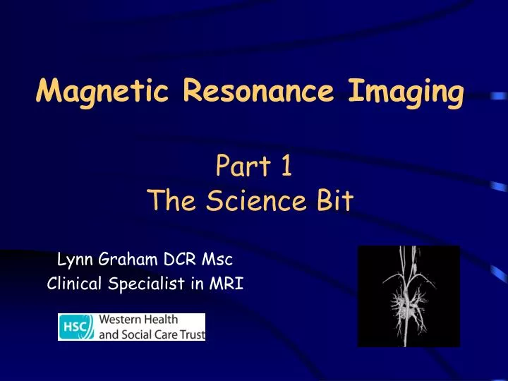 magnetic resonance imaging part 1 the science bit