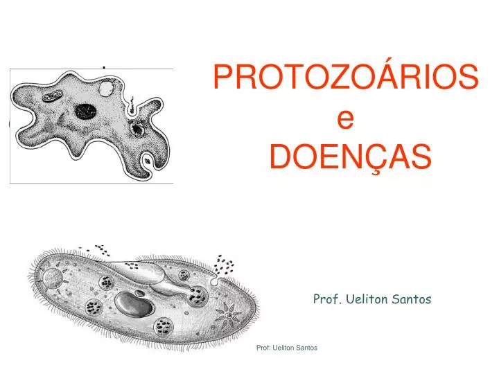 protozo rios e doen as