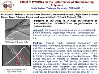 Effect of MWCNTs on the Performance of Thermosetting Polymers