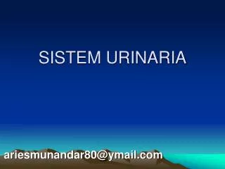 sistem urinaria