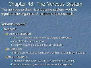 Chapter 48: The Nervous System