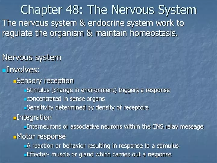 chapter 48 the nervous system