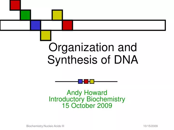 organization and synthesis of dna