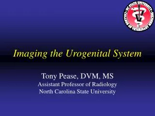 Imaging the Urogenital System