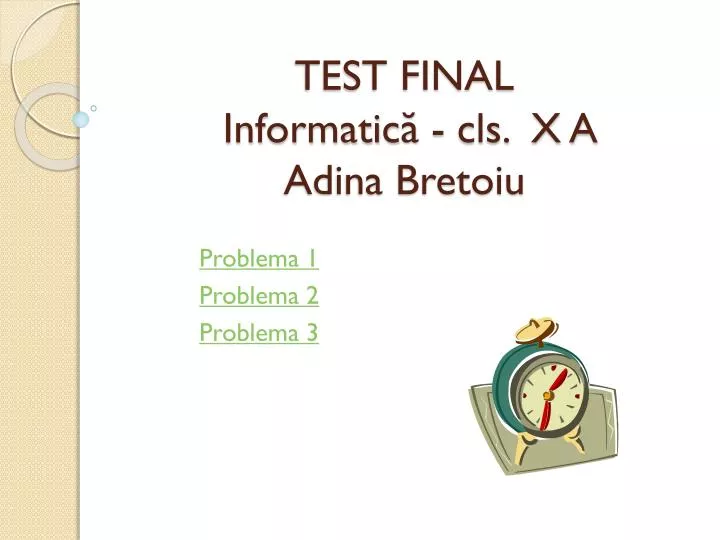 test final informatic cls x a adina bretoiu